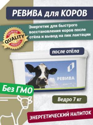 Ревива – энергетический напиток для коров после отёла