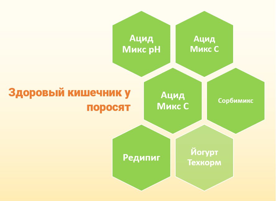 Программа INNUTRA